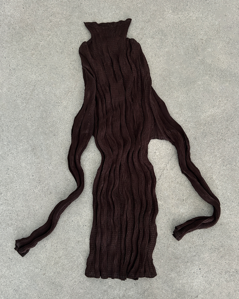 Sheer Pleated Long Sleeve