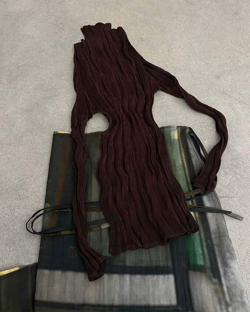 Sheer Pleated Long Sleeve