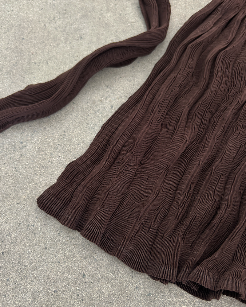 Sheer Pleated Long Sleeve